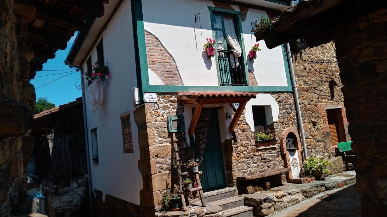 Cal Gallo Riosa Exterior foto